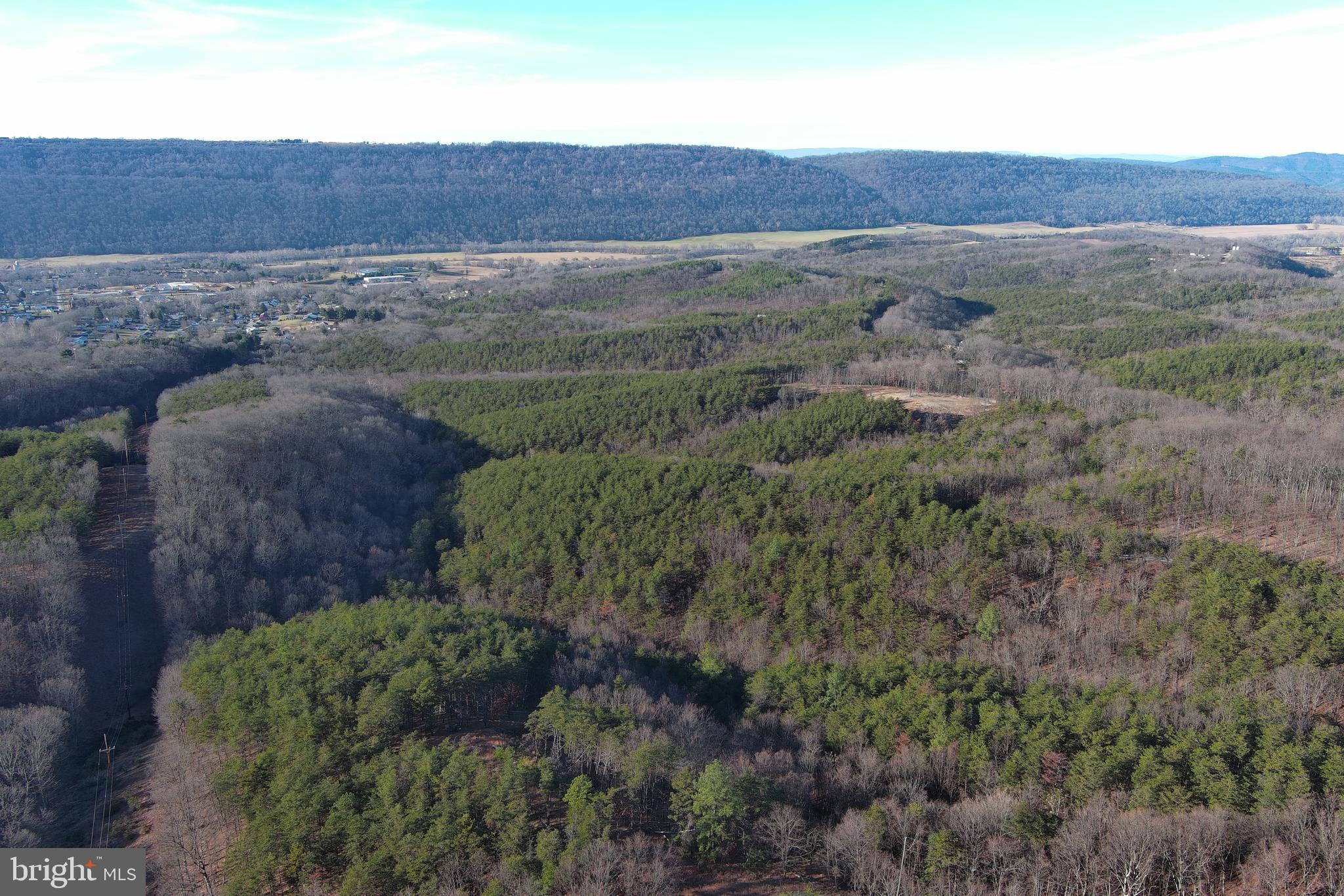 THE WOODLANDS - Land