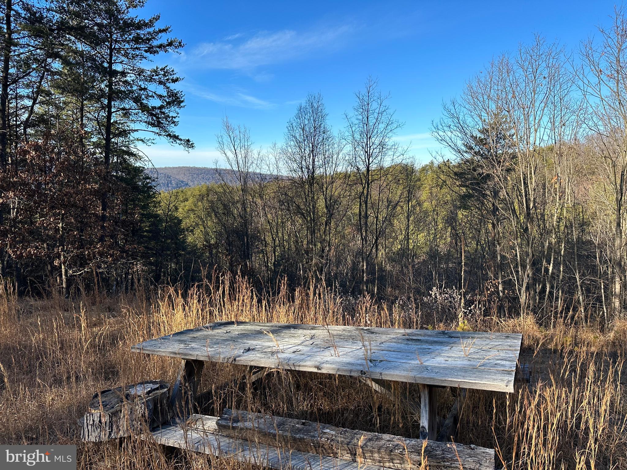 THE WOODLANDS - Land