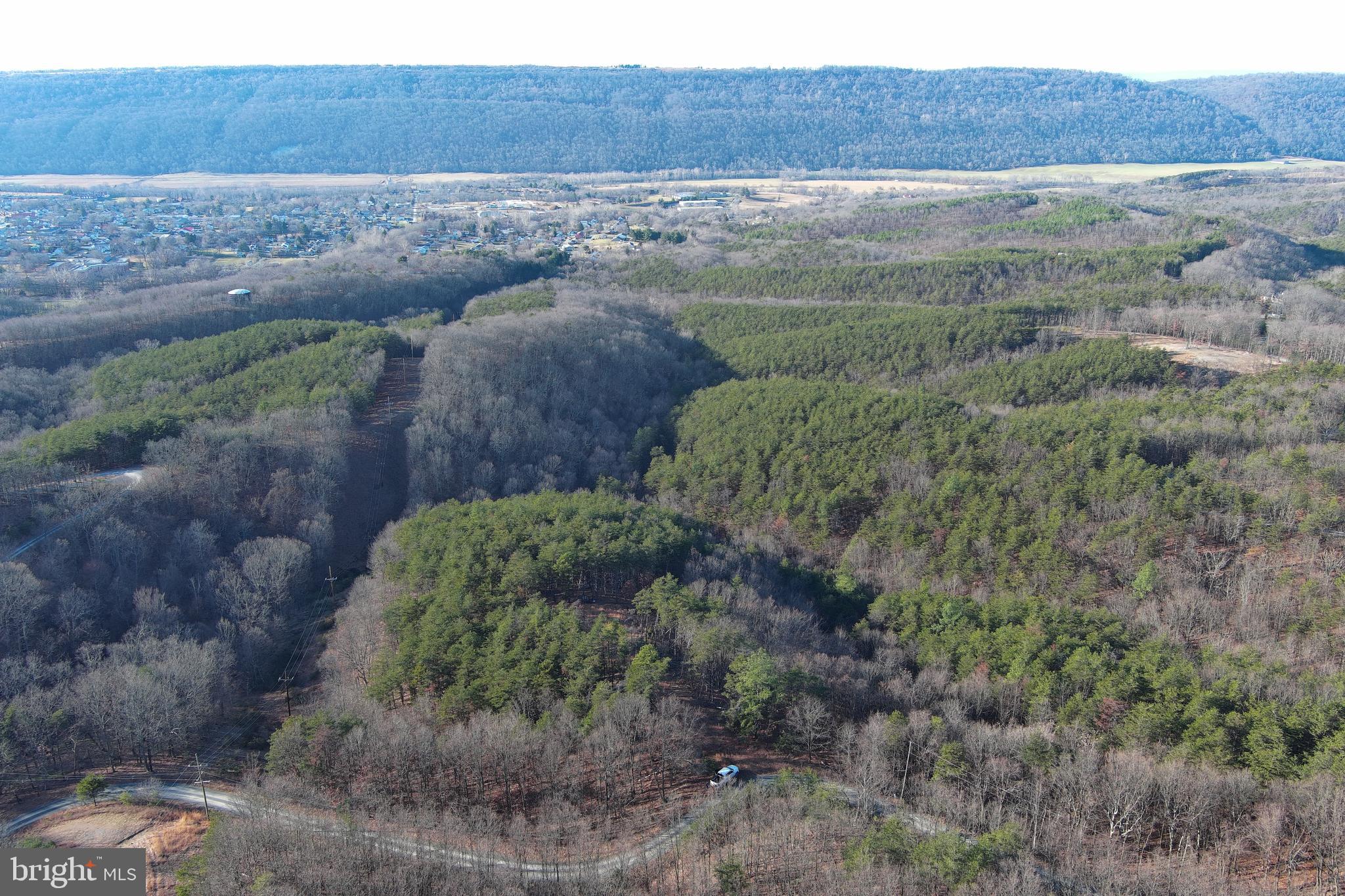 THE WOODLANDS - Land