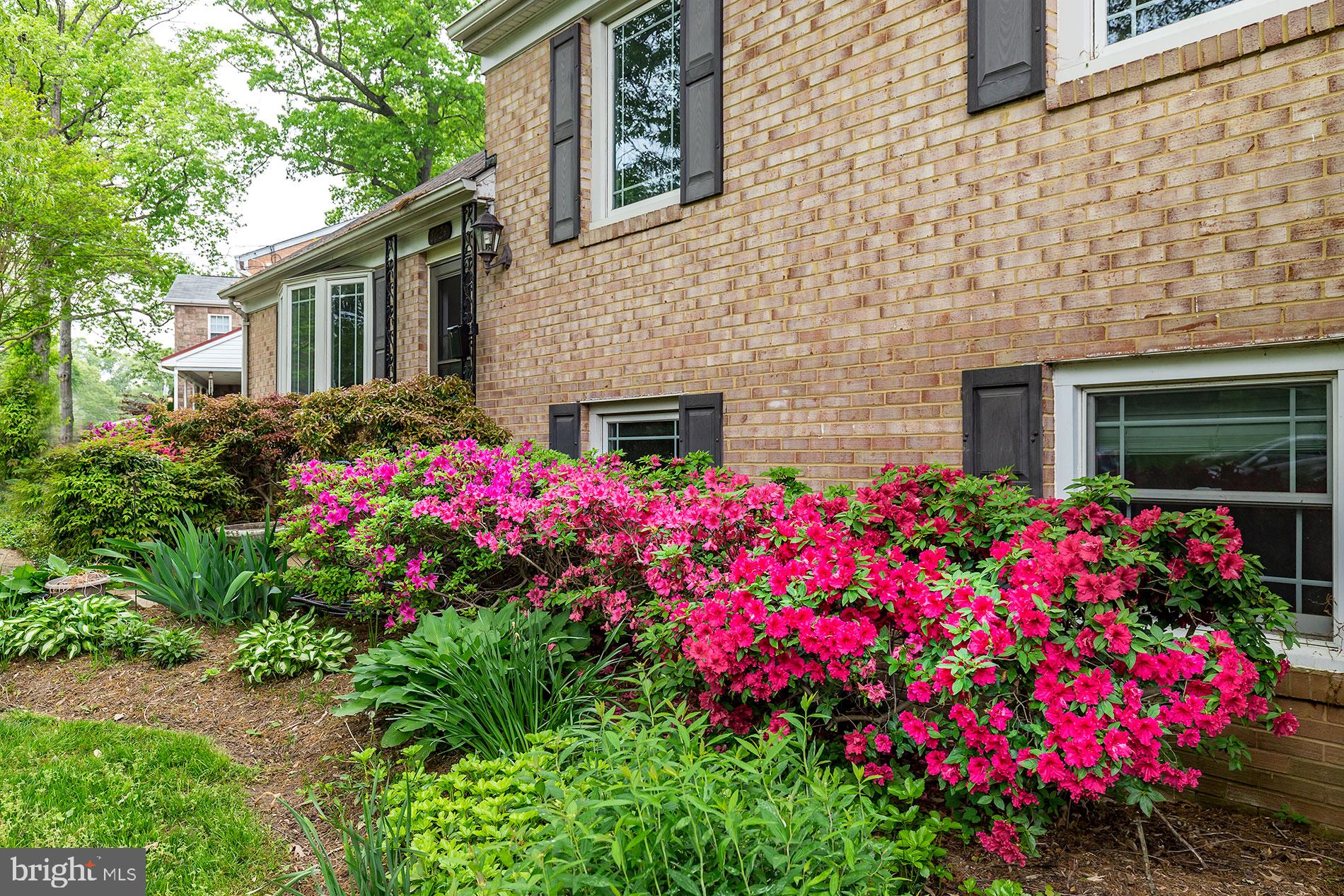 WILLOW WOODS - Residential