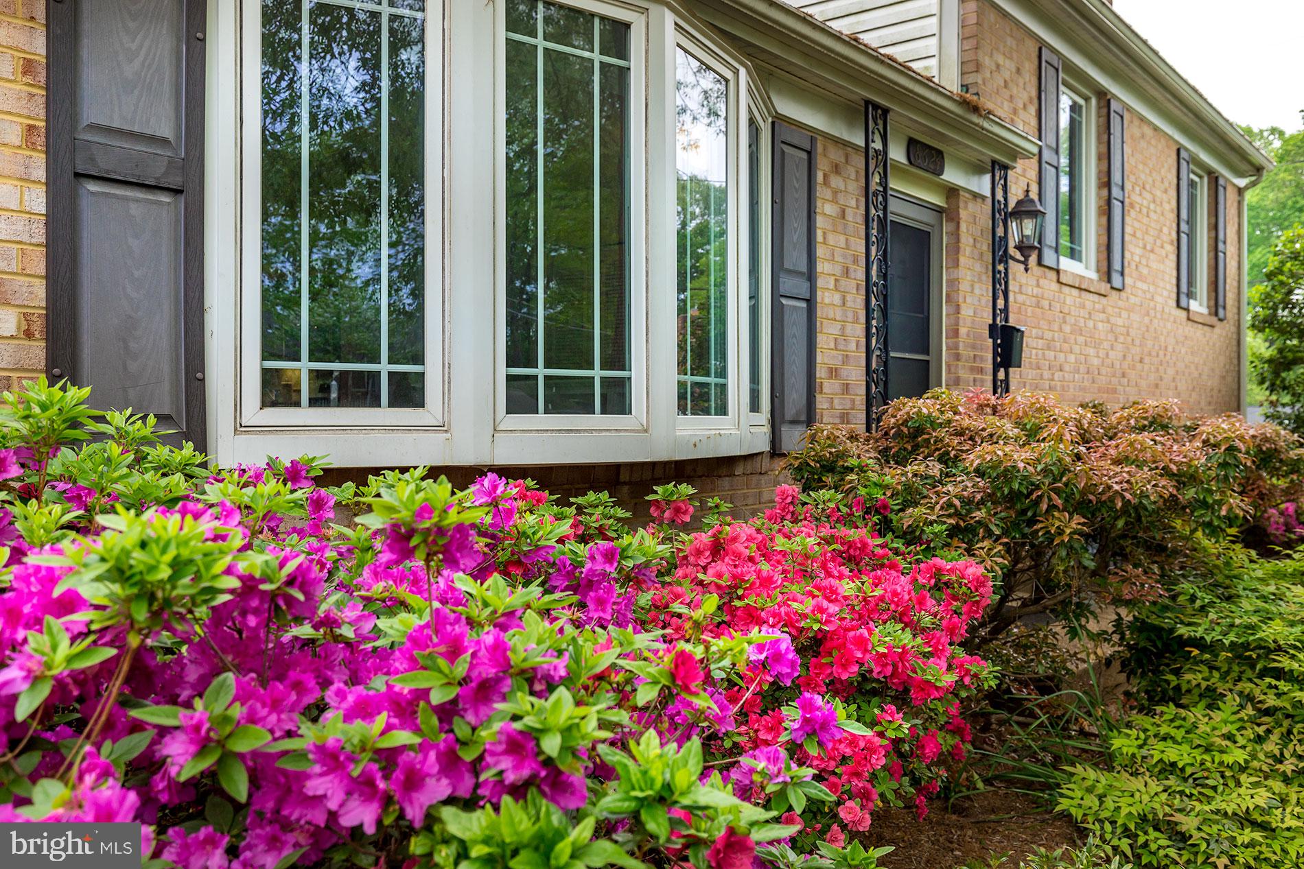 WILLOW WOODS - Residential