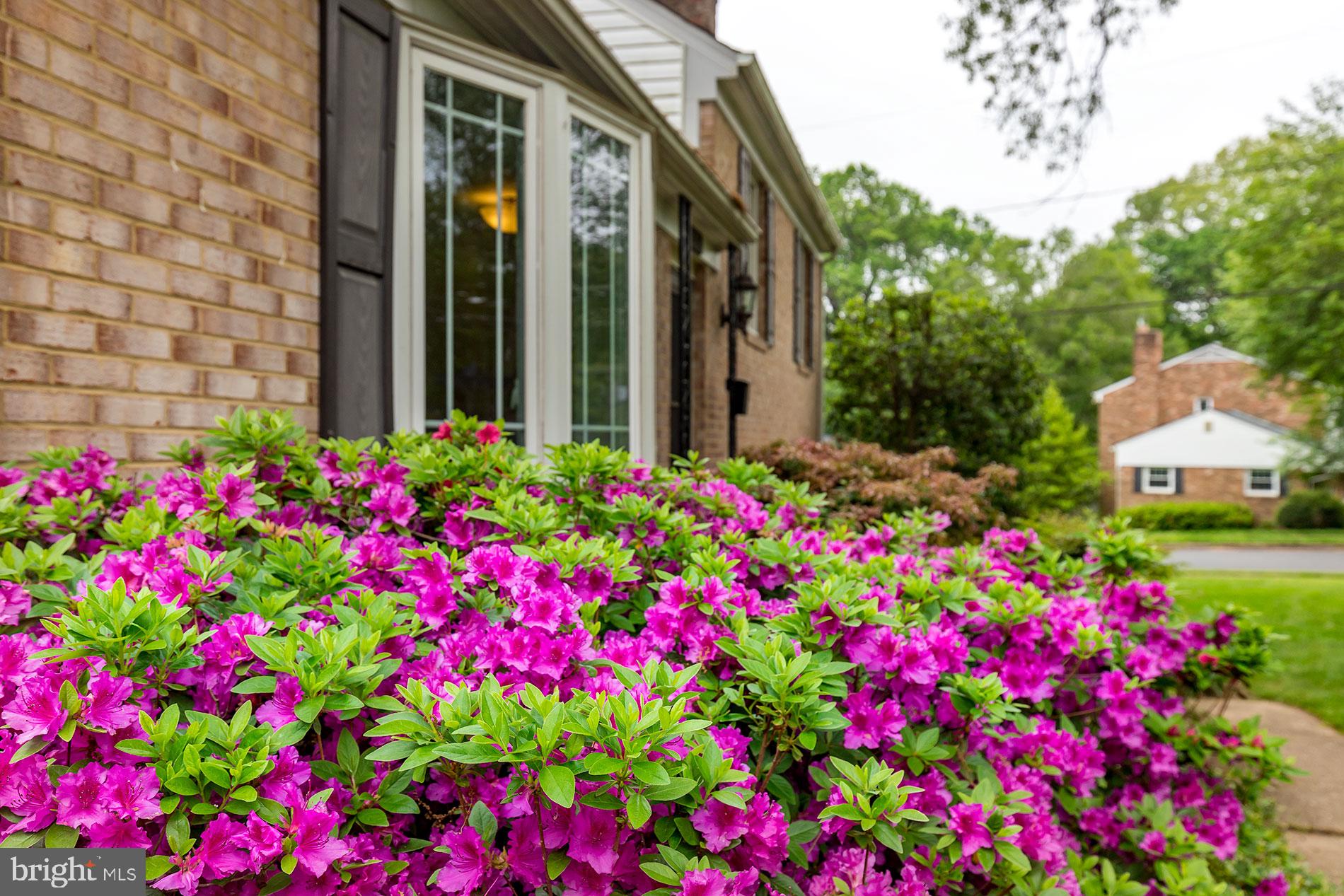 WILLOW WOODS - Residential