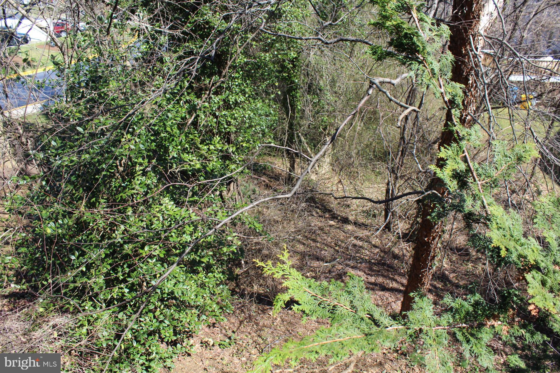 TIDEWATER COLONY - Residential Lease