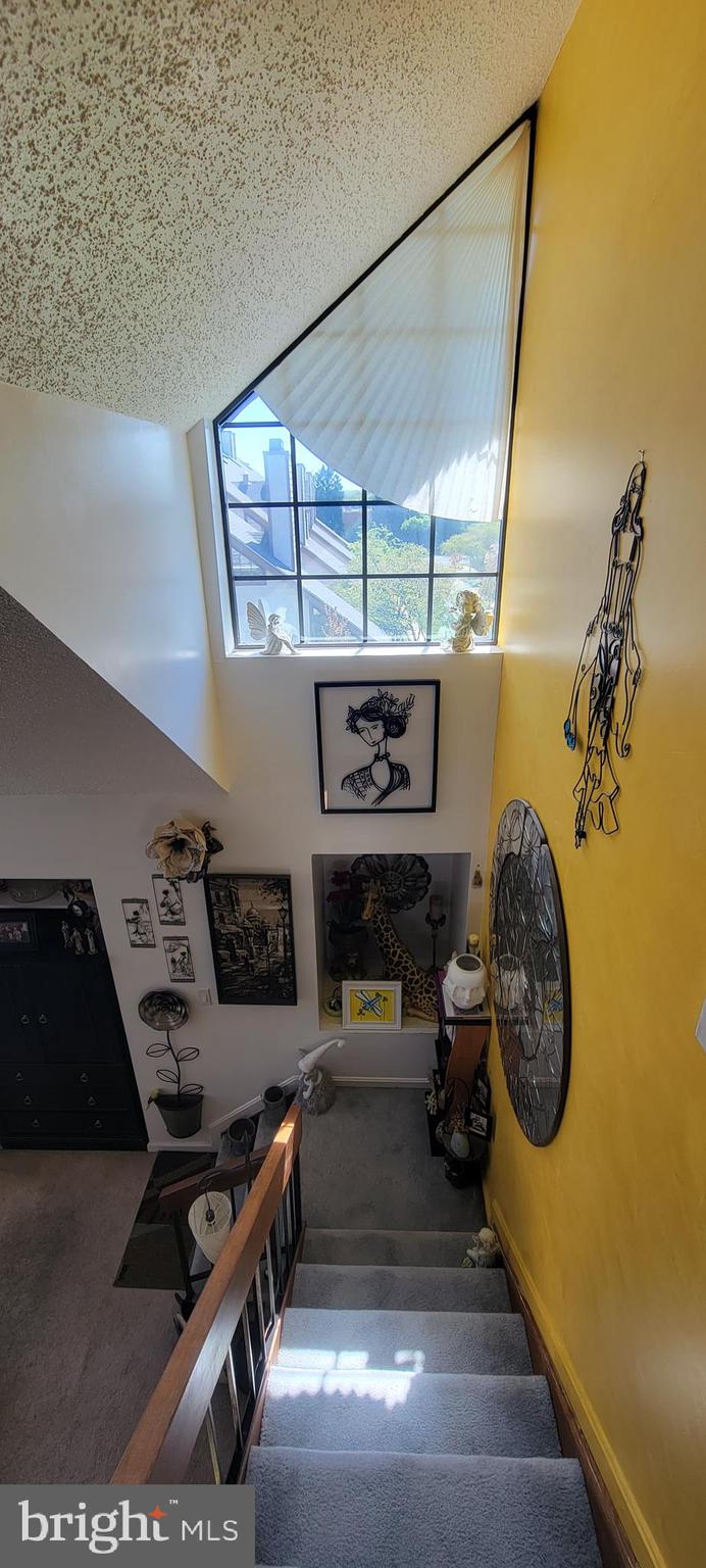 THE TIERS OF LAUREL LAKE - Residential