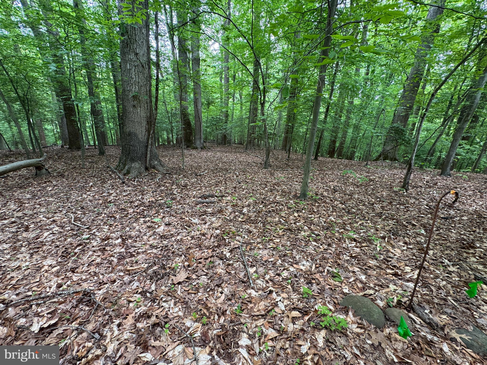 MOYAONE RESERVE - Land