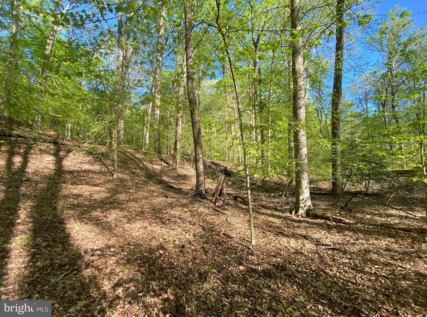 MOYAONE RESERVE - Land