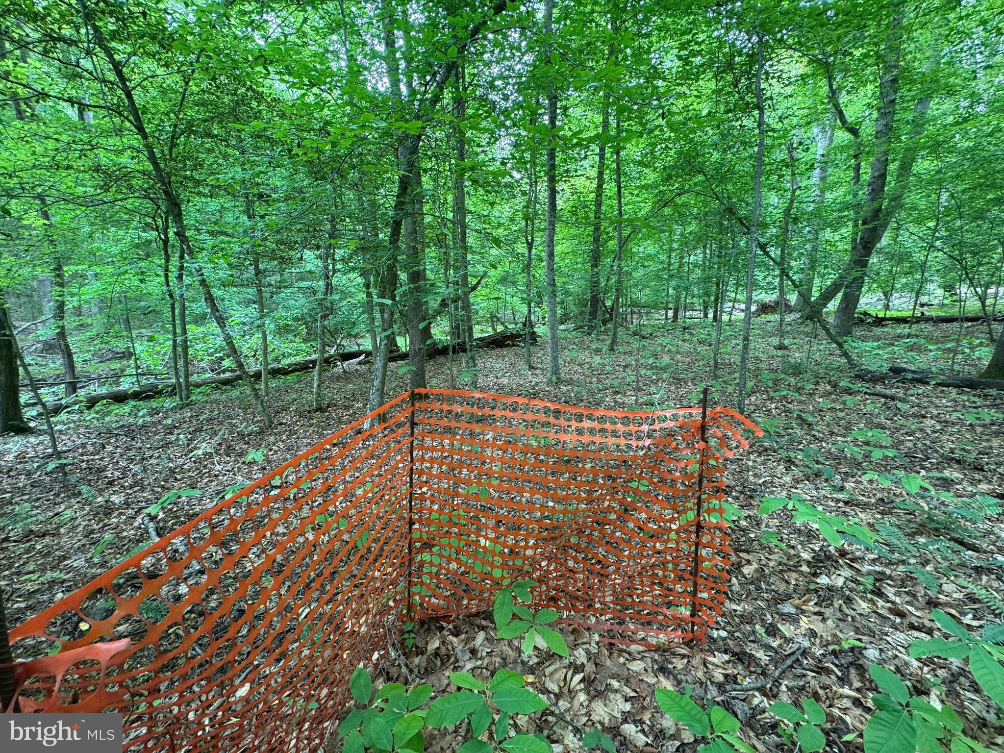 MOYAONE RESERVE - Land