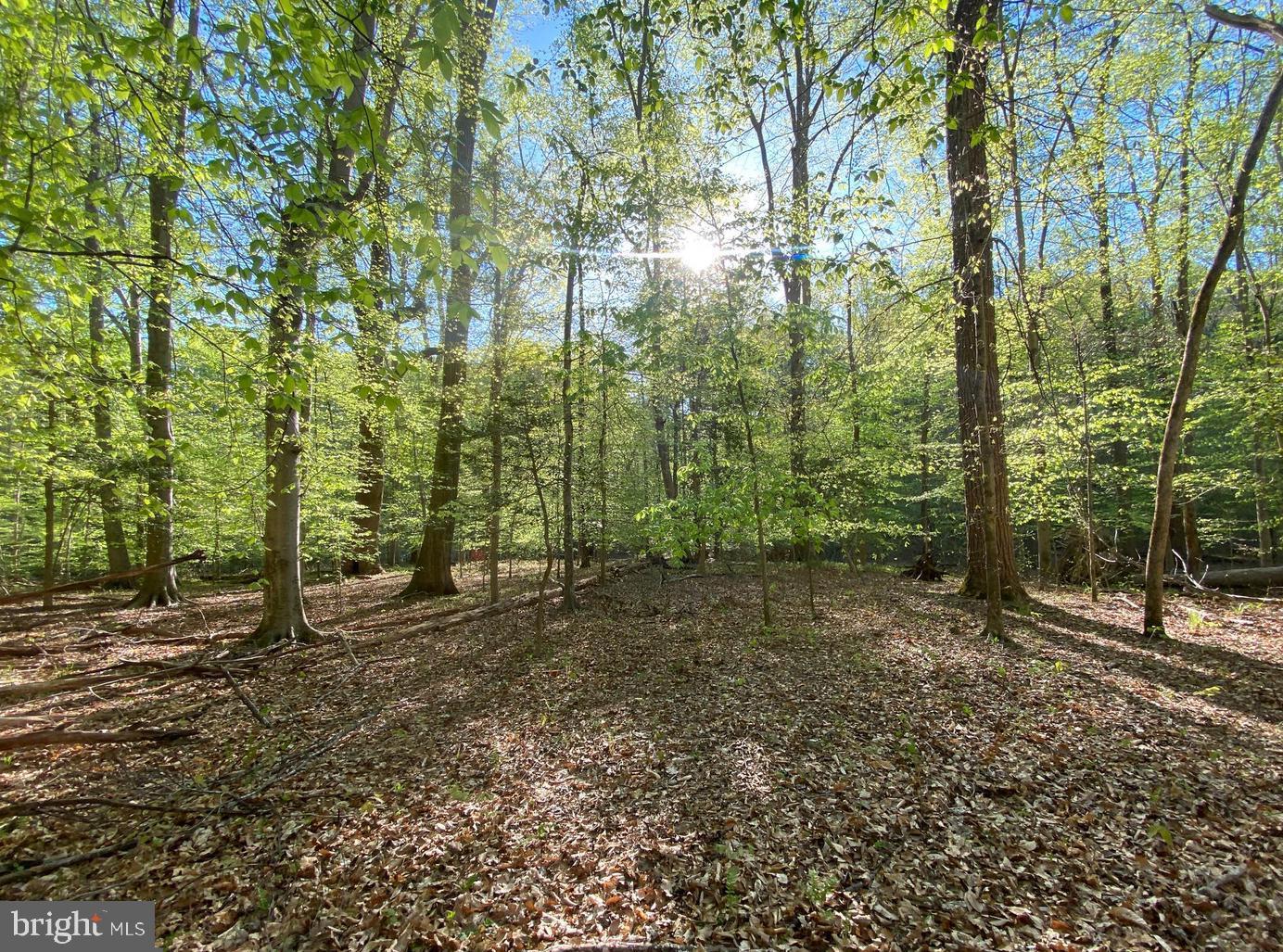 MOYAONE RESERVE - Land