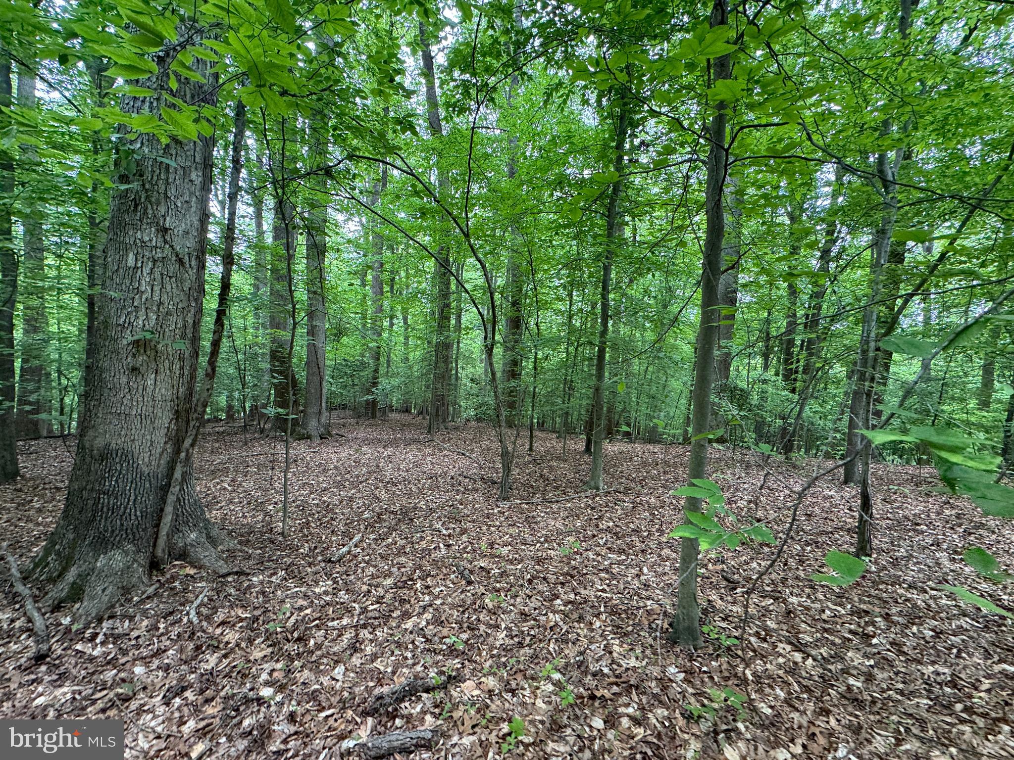 MOYAONE RESERVE - Land