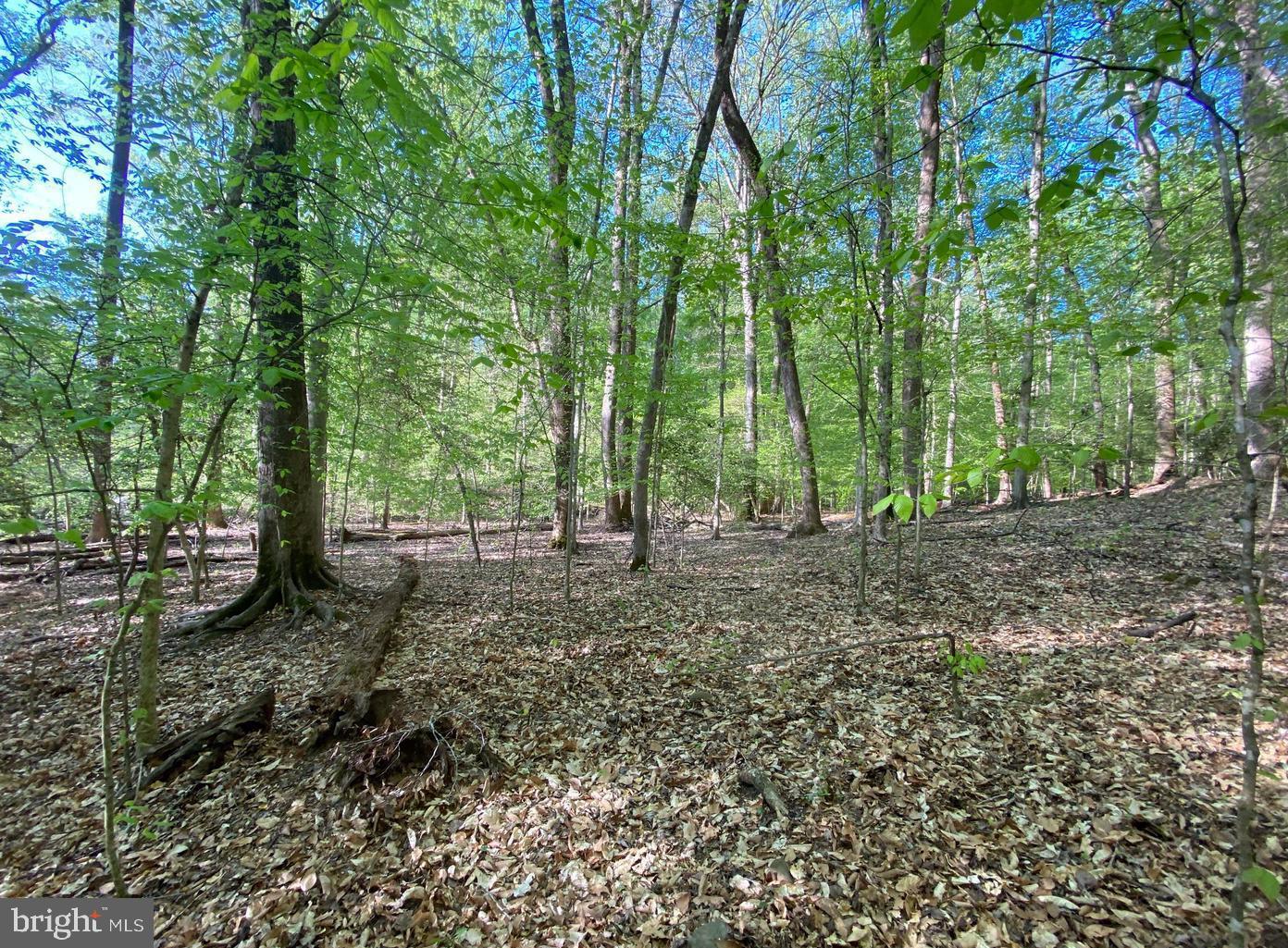 HIDDEN VALLEY ROAD