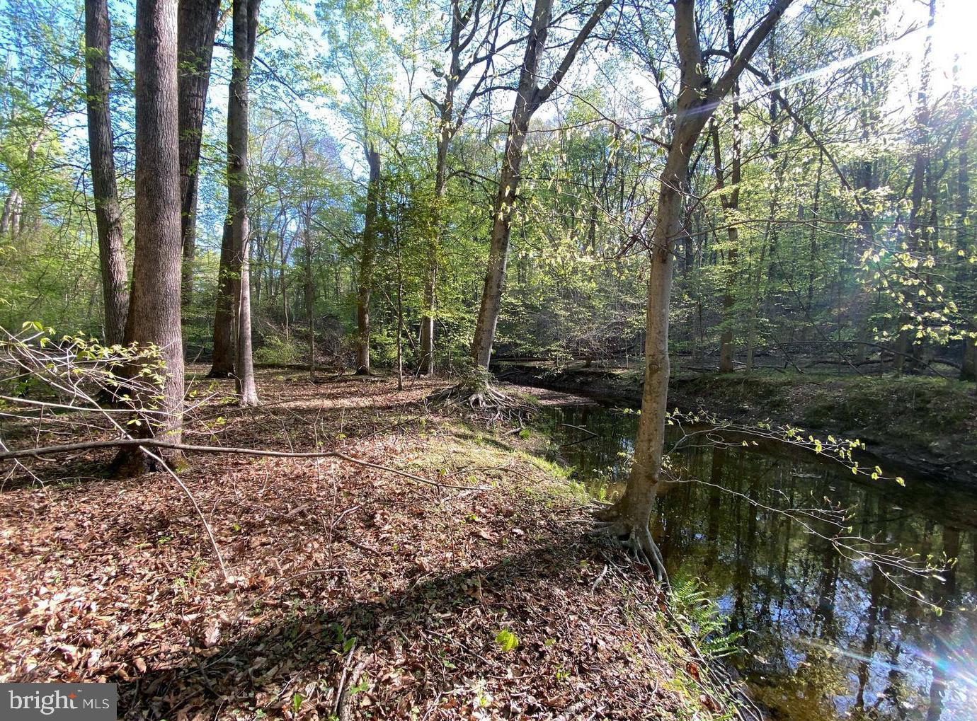 MOYAONE RESERVE - Land