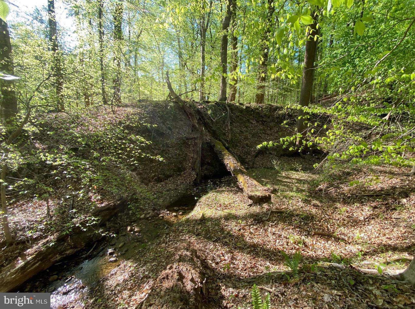 MOYAONE RESERVE - Land