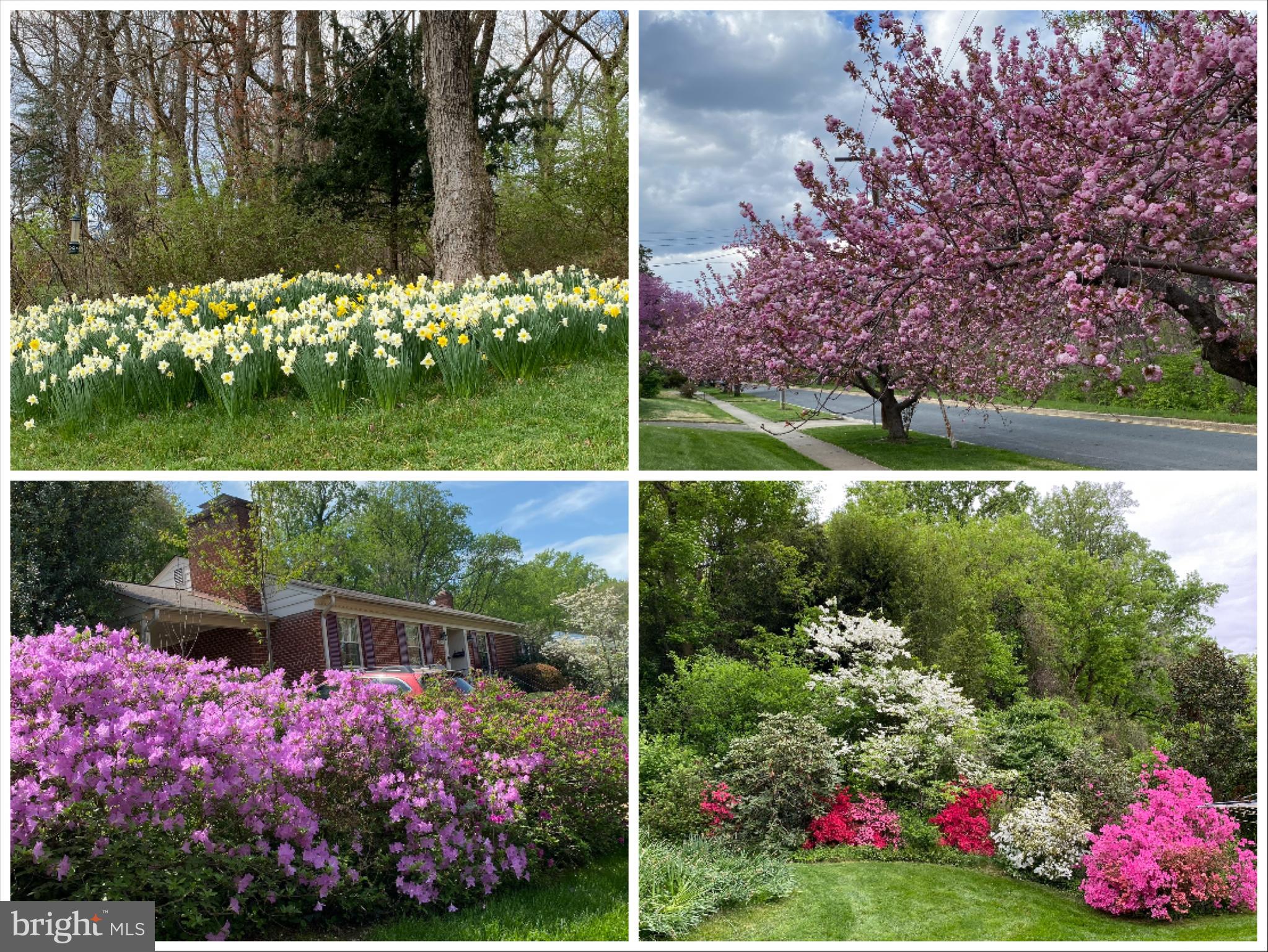 8200 BEECH TREE ROAD