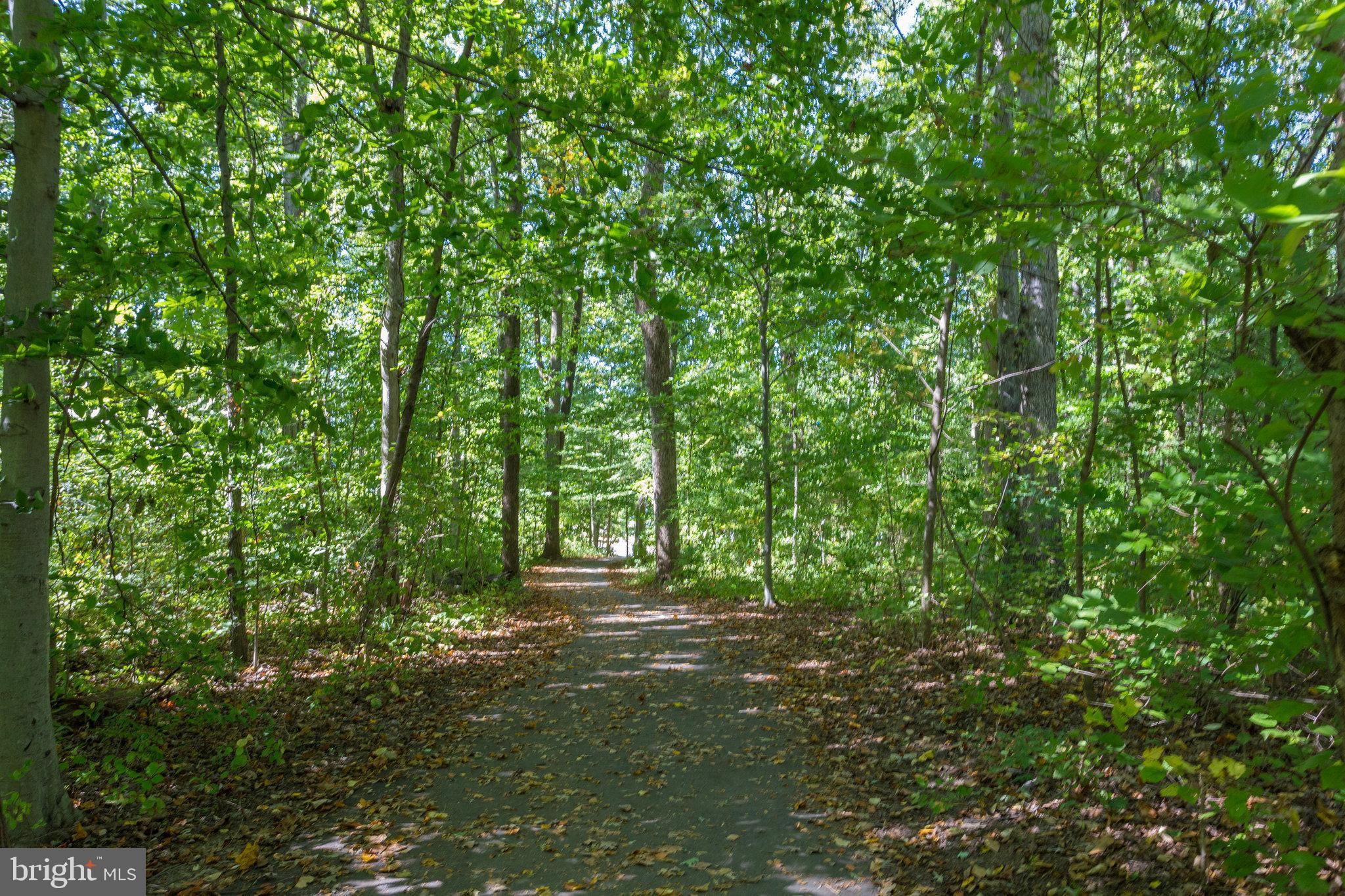 CARDINAL SQUARE - Residential