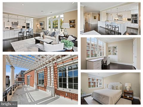 6900 FLEETWOOD ROAD 507 MCLEAN VA 22101