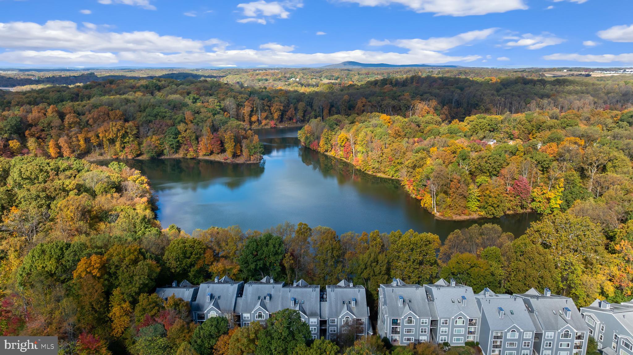 20404 SHORE HARBOUR DRIVE D