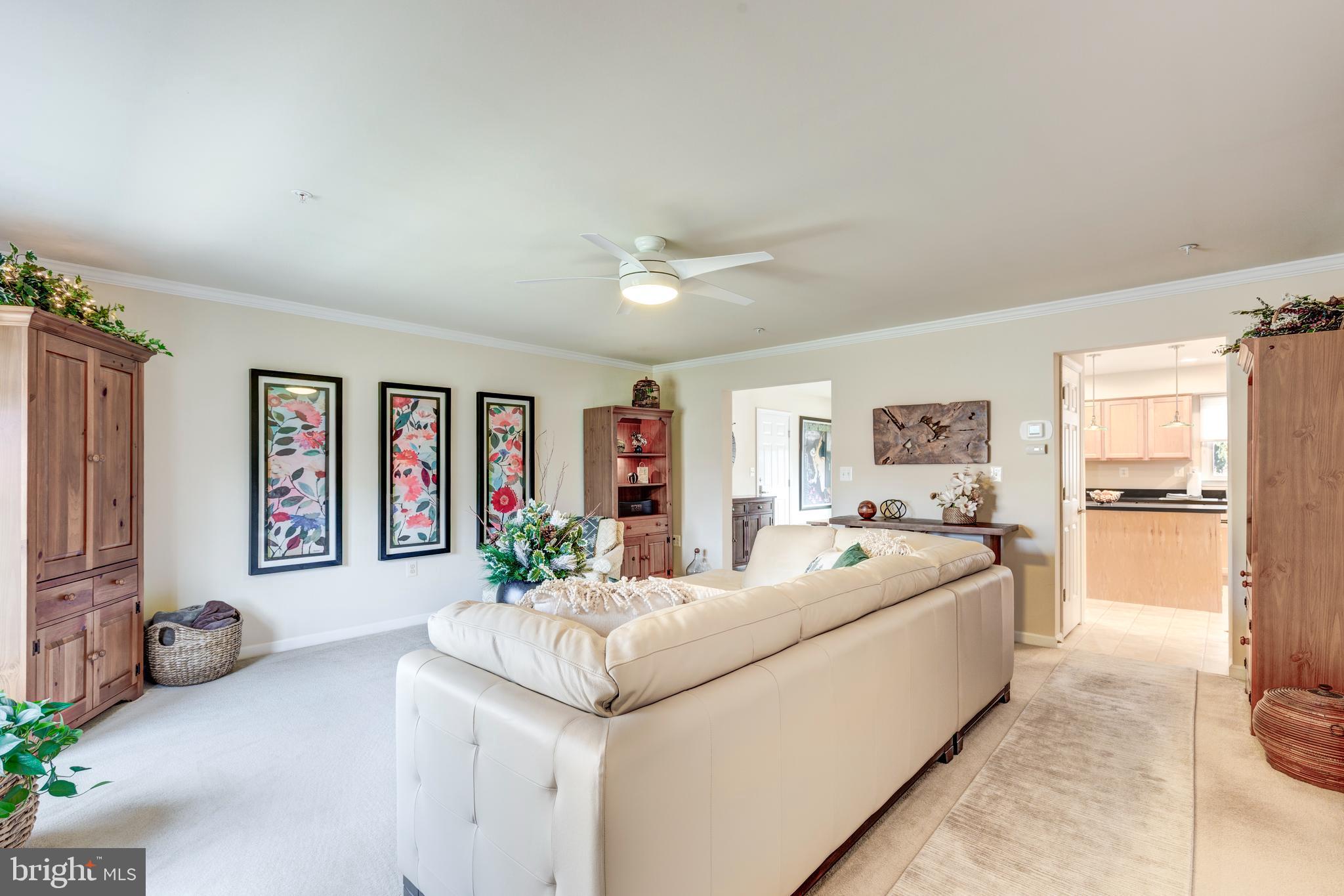 WESTMINSTER ELECTION DISTRICT - Residential