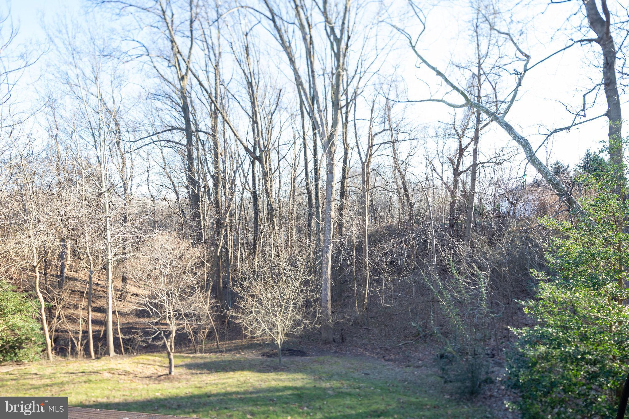 CALVERT BEACH ESTATES - Residential