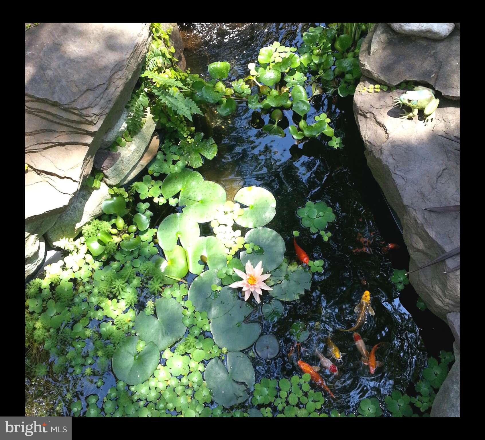 HOLLYWOOD - Residential