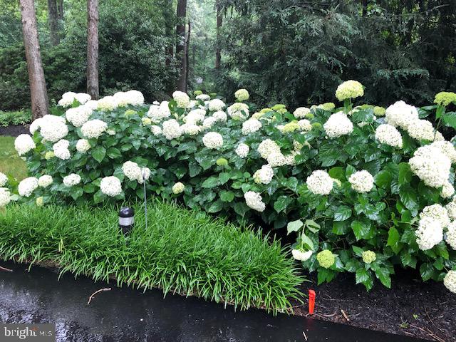 HUNTINGTON WOODS - Residential