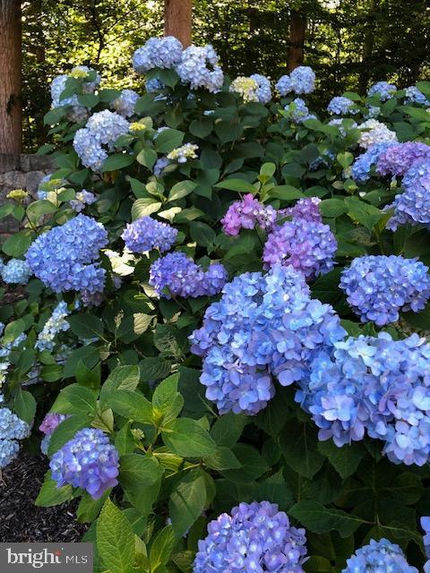 HUNTINGTON WOODS - Residential