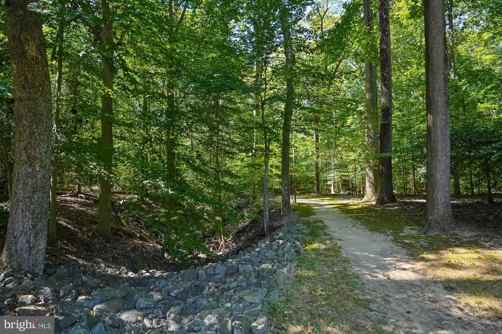 HUNTINGTON WOODS - Residential