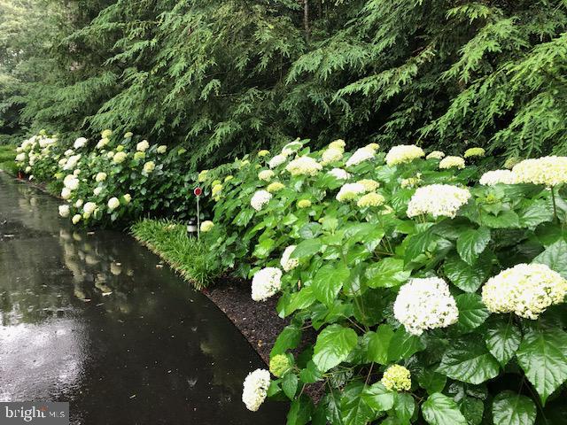 HUNTINGTON WOODS - Residential