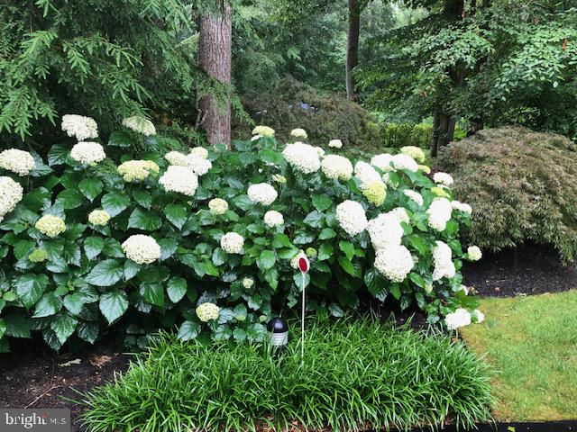 HUNTINGTON WOODS - Residential