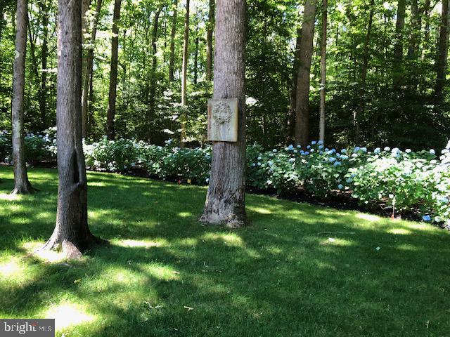 HUNTINGTON WOODS - Residential