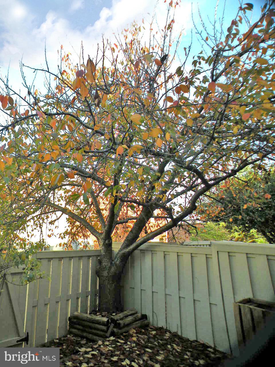 FAIRLINGTON TOWNE - Residential