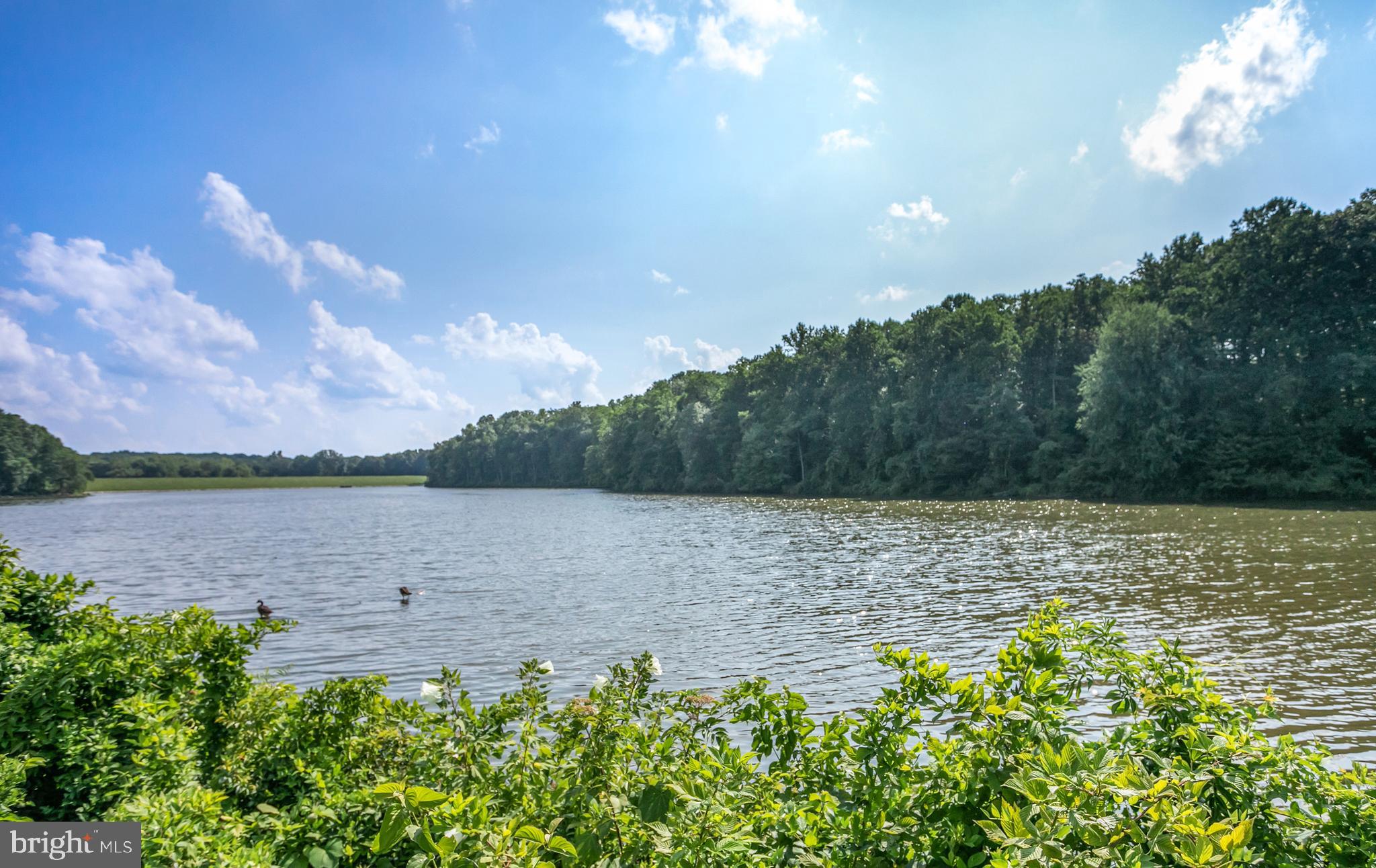 VILLAGE PARK - Residential