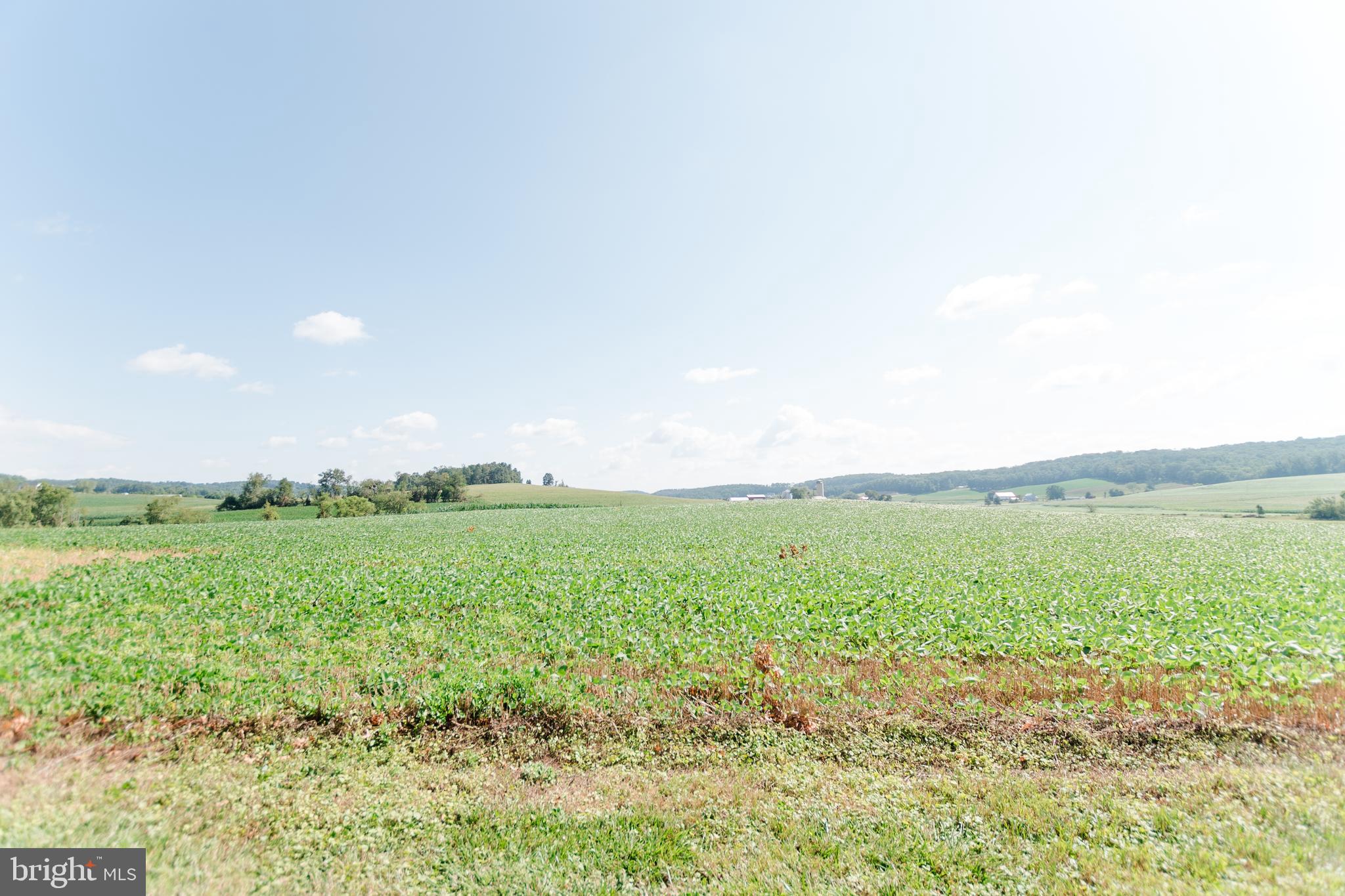 MANCHESTER ELECTION DISTRICT - Residential