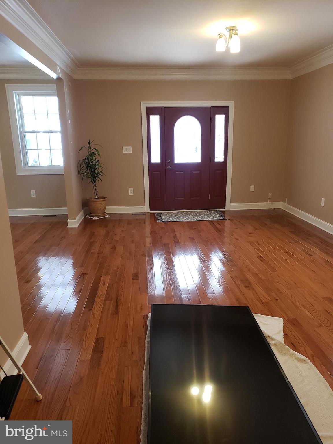 ANNANDALE ACRES - Residential Lease