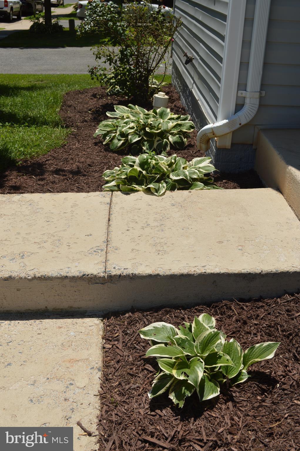 MEADOWS OF CULPEPER - Residential