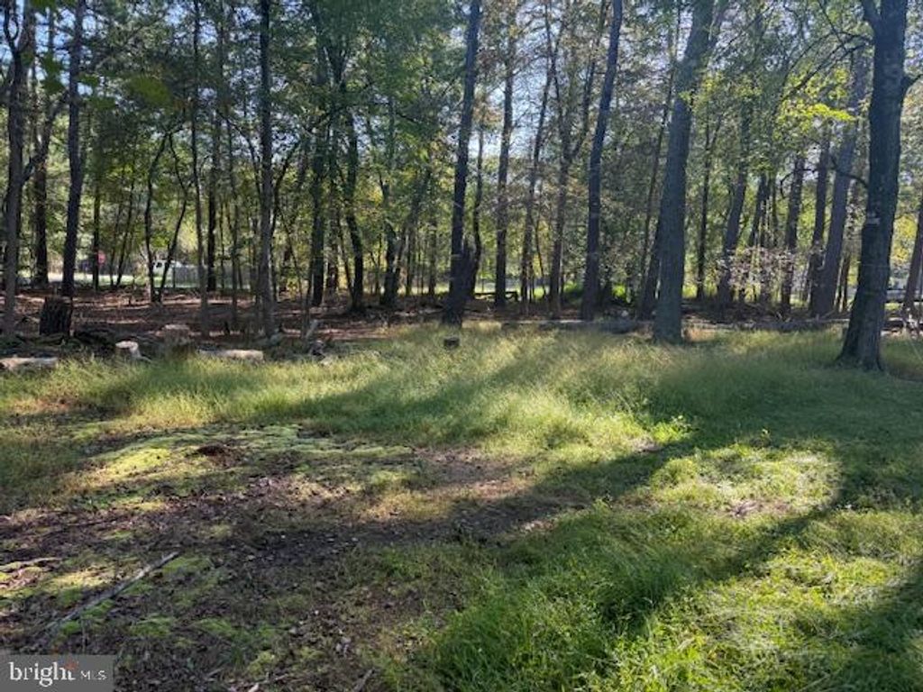 Photo of 68 Briar St, PEMBERTON, NJ 08015 (MLS # NJBL2095686)