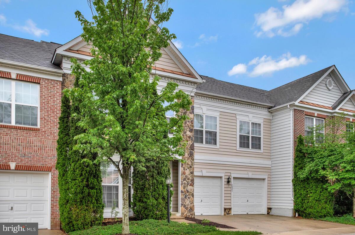 SNOWDEN OVERLOOK - Residential