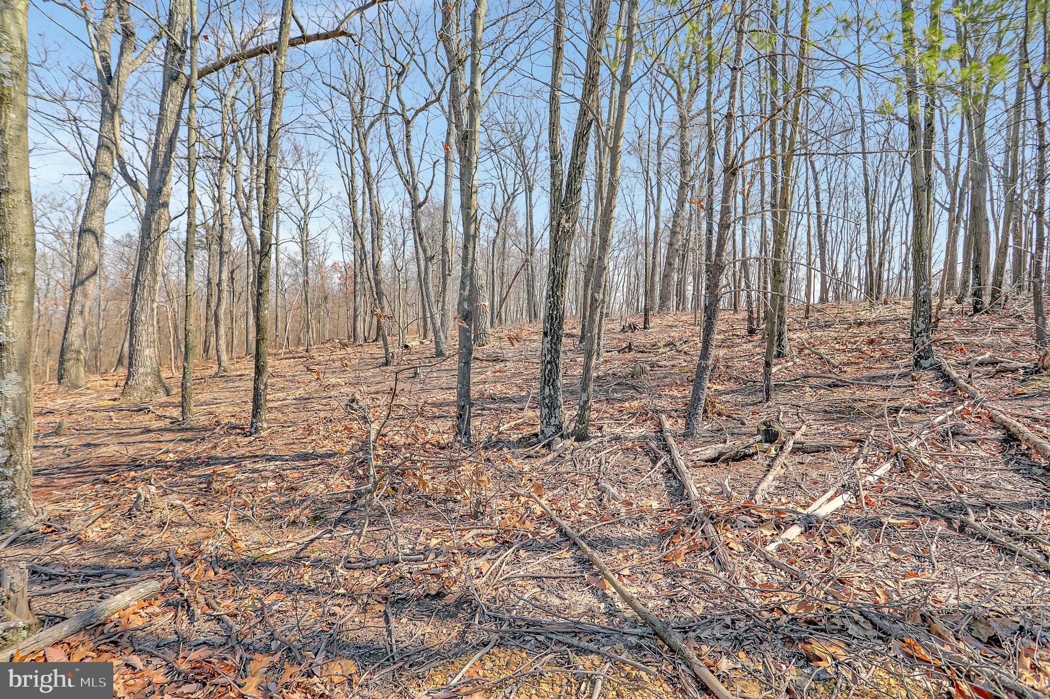 SMOKEYSHIRE - Residential