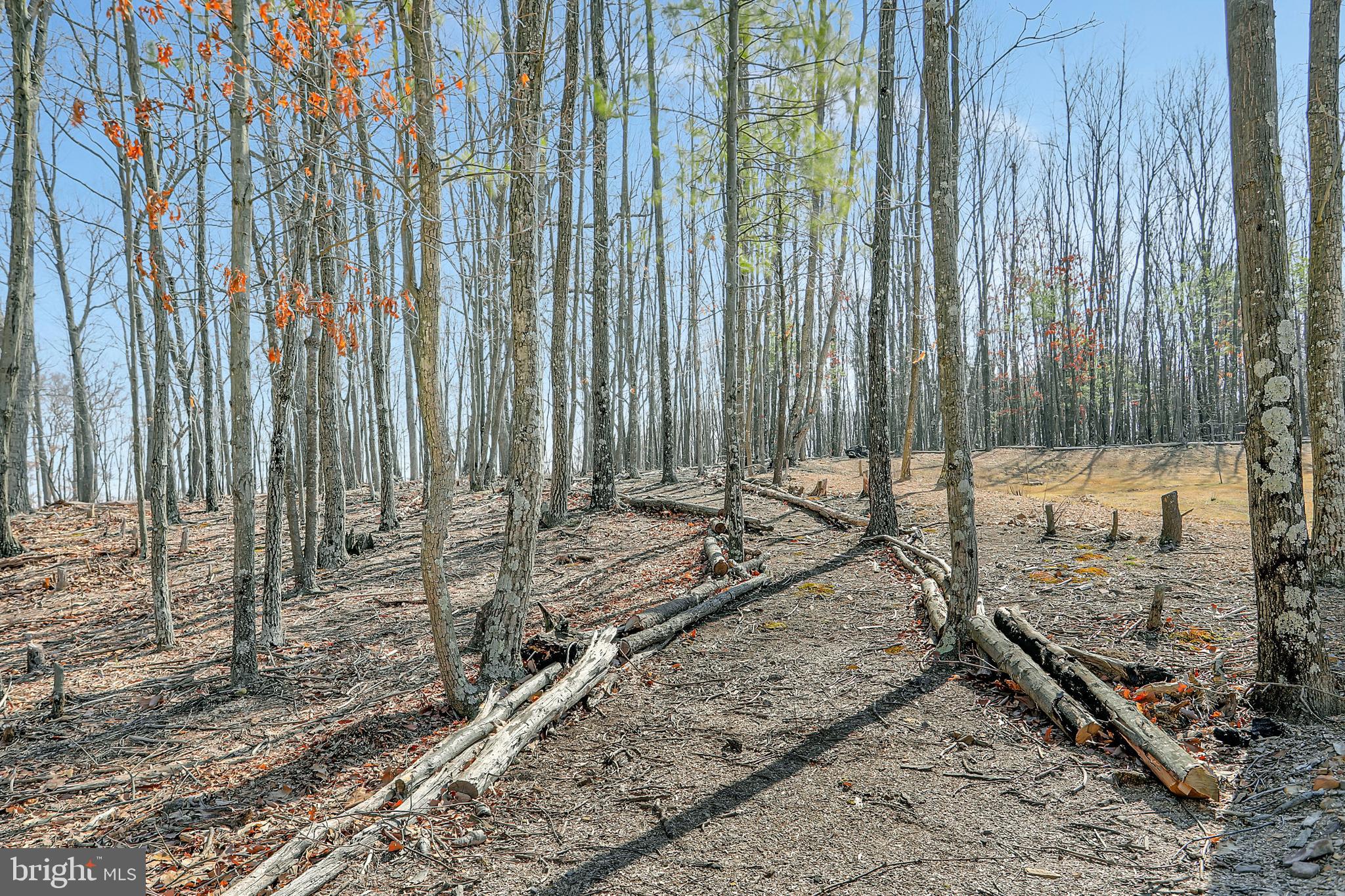 SMOKEYSHIRE - Residential