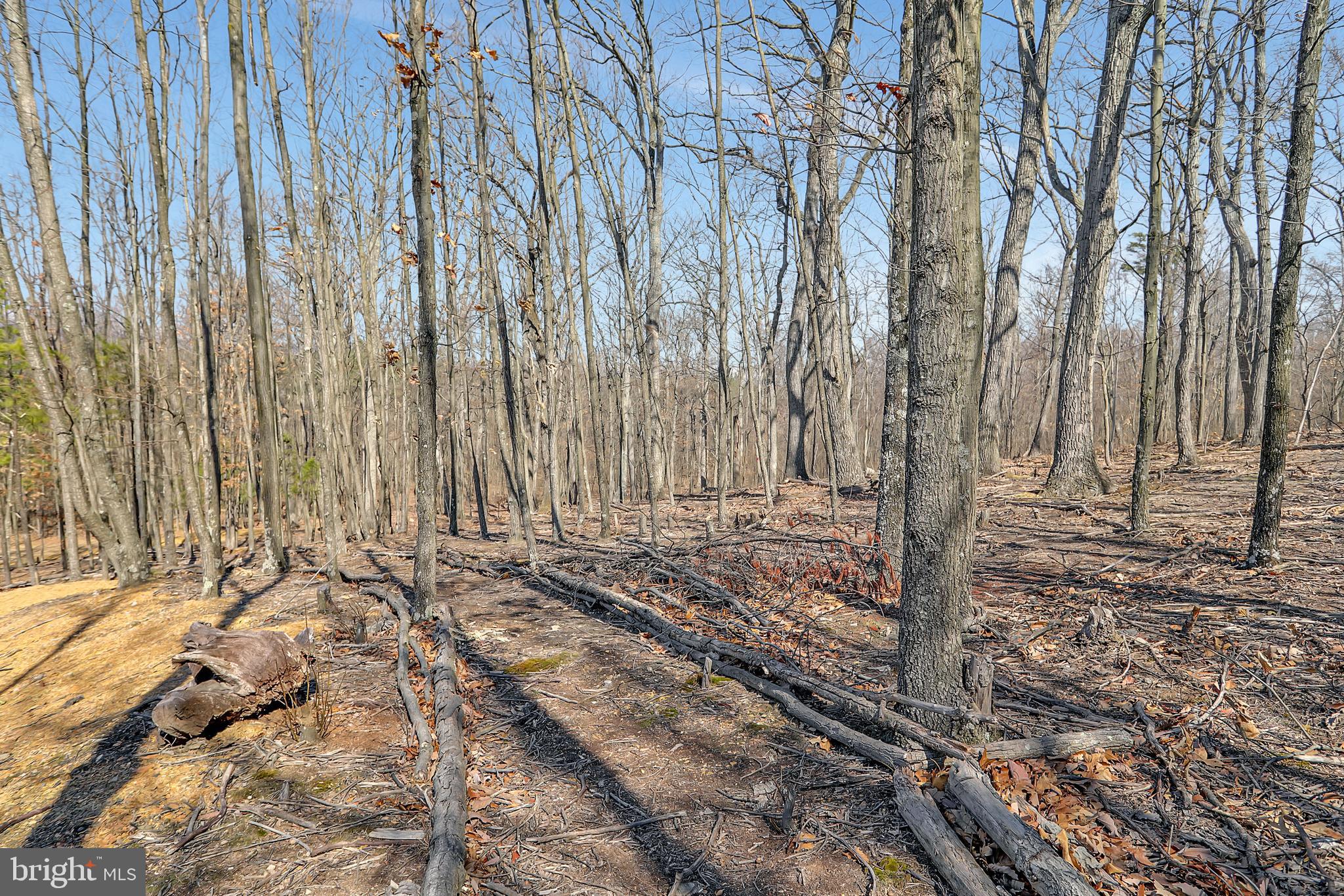 SMOKEYSHIRE - Residential