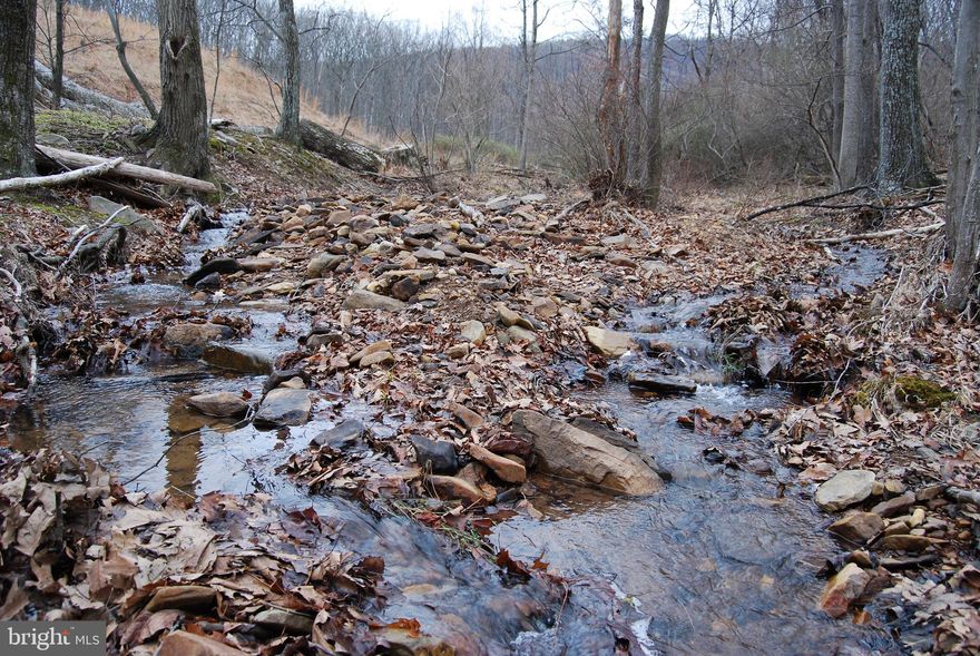 ***Over 400 foot of frontage on Seasonal Stream***
***Unrestricted***
***Conventional Perc***

What is there not to love about a property that is unrestricted and has water flowing through it? This parcel sits at the backside of Lot #1 WVBE2037220 and offers as much as any of the others. With a slow gentle grade to the ground, you can build close to the road and have plenty of room to enjoy the rest of the woods. Don't let a smaller parcel fool you, the amount of wildlife using this lot will surprise you. The deer and turkey use the property as a pass through going into the neighbors fields and stop for the occasional drink out of the stream.