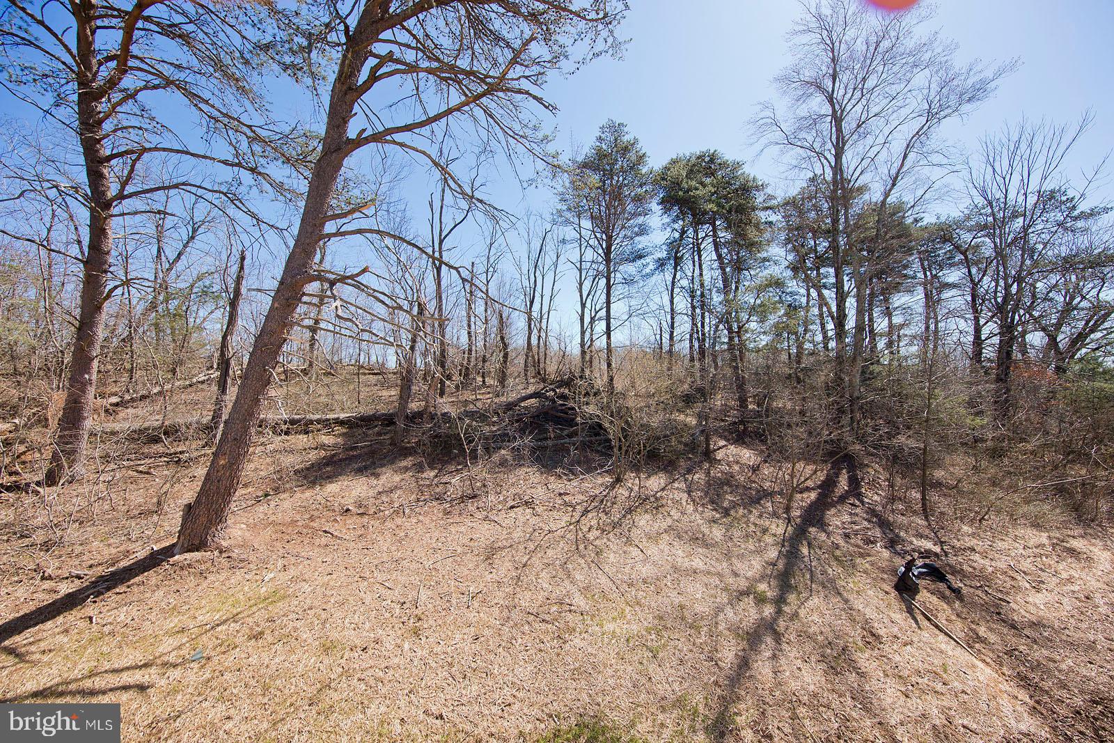 LAKE HOLIDAY ESTATES - Residential