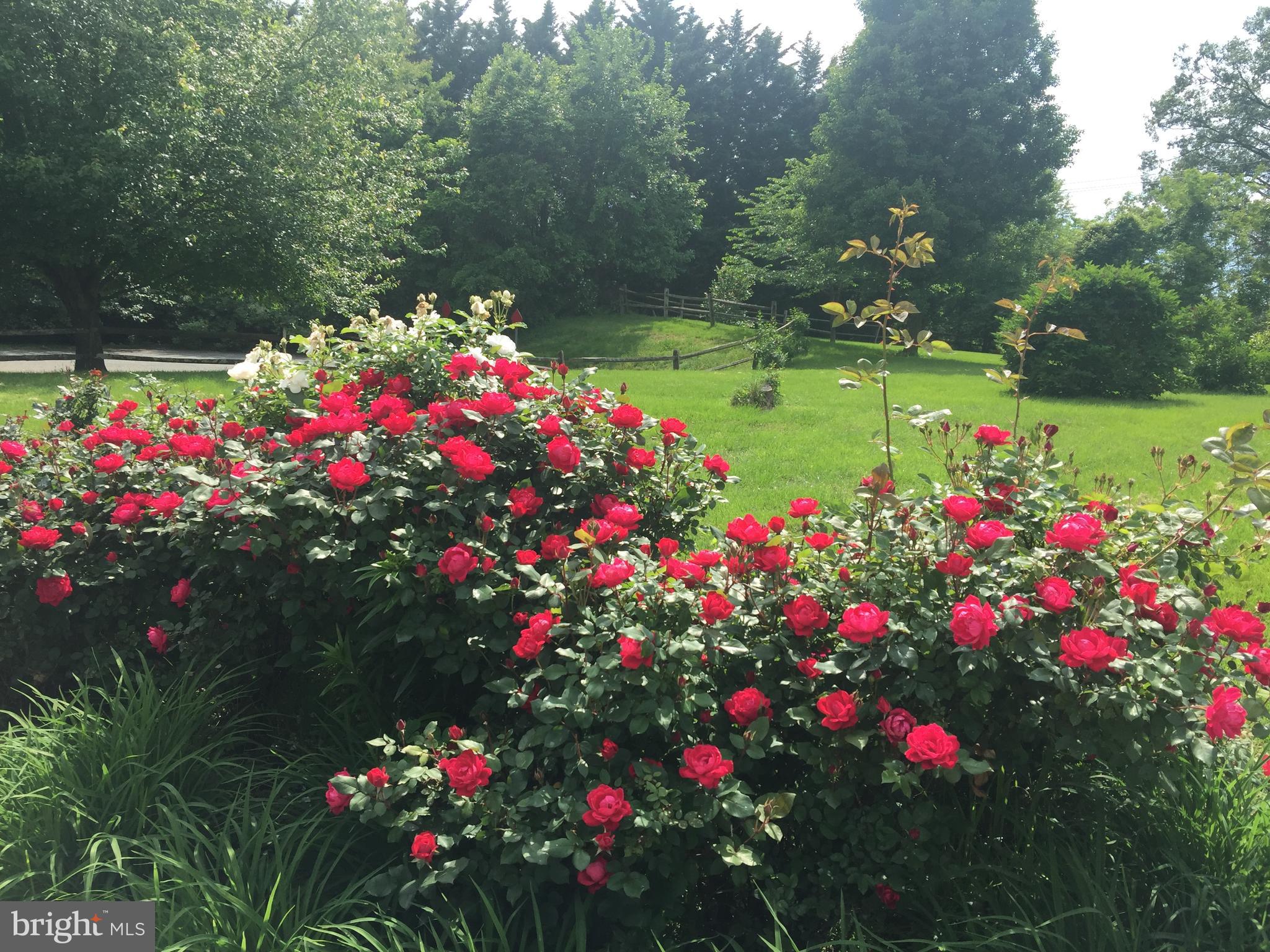 DARNESTOWN OUTSIDE - Residential