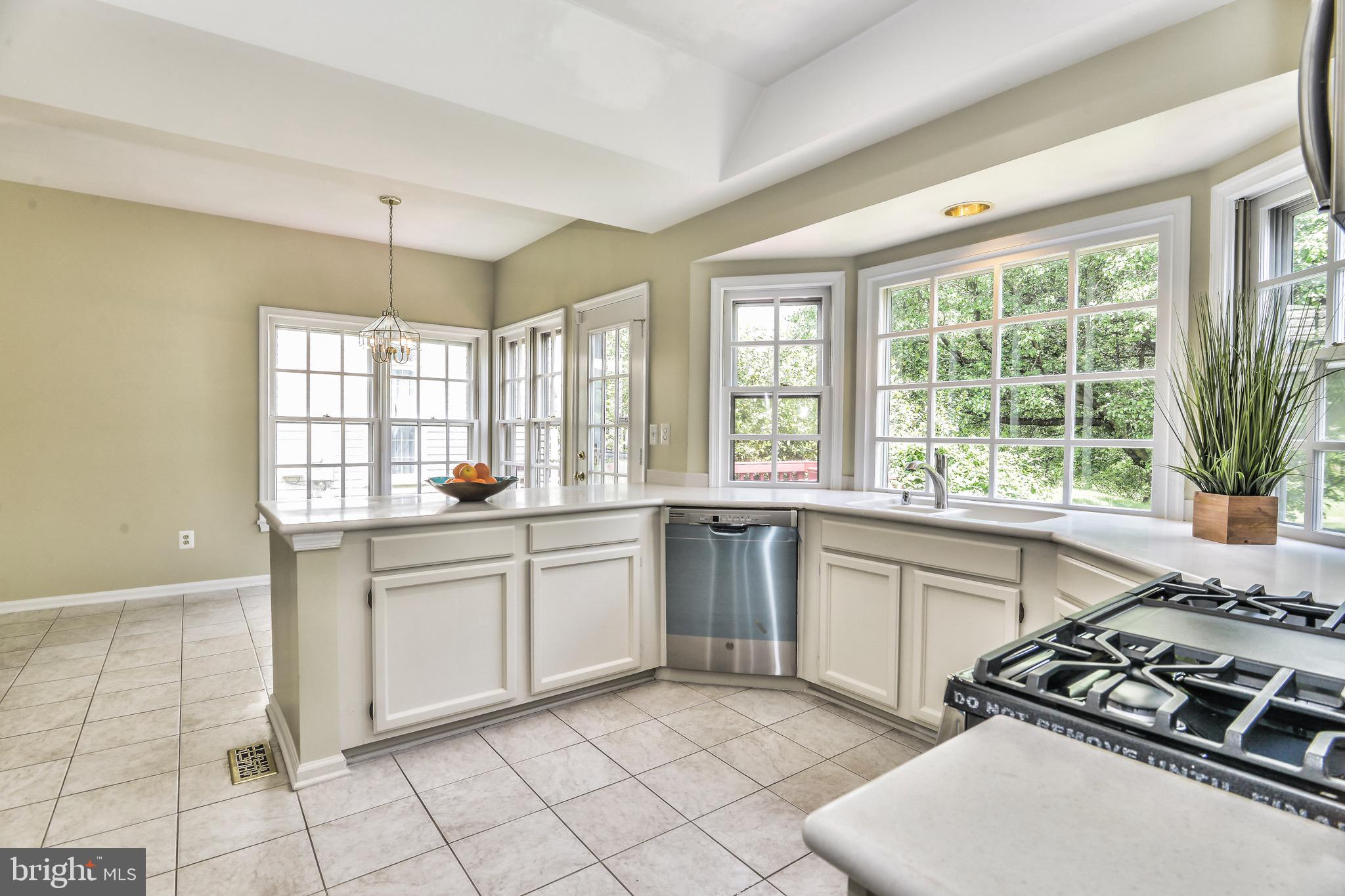 ASHBURN VILLAGE - Residential