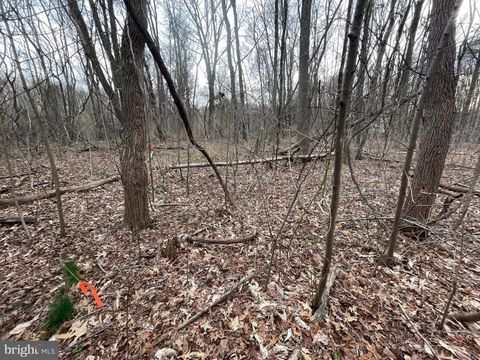 GEORGETOWN RD CHESTERTOWN MD 21620