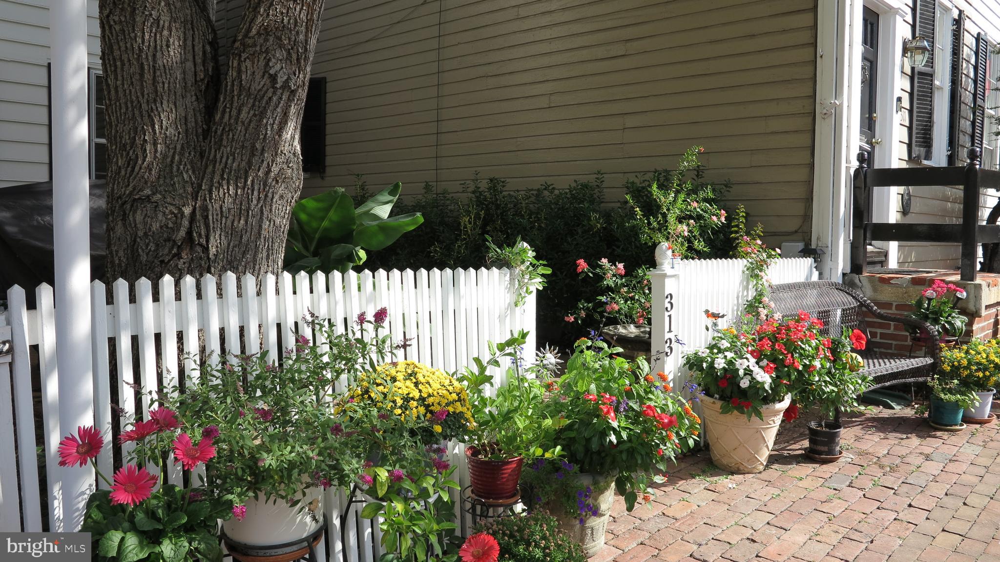 OLD TOWN - Residential Lease