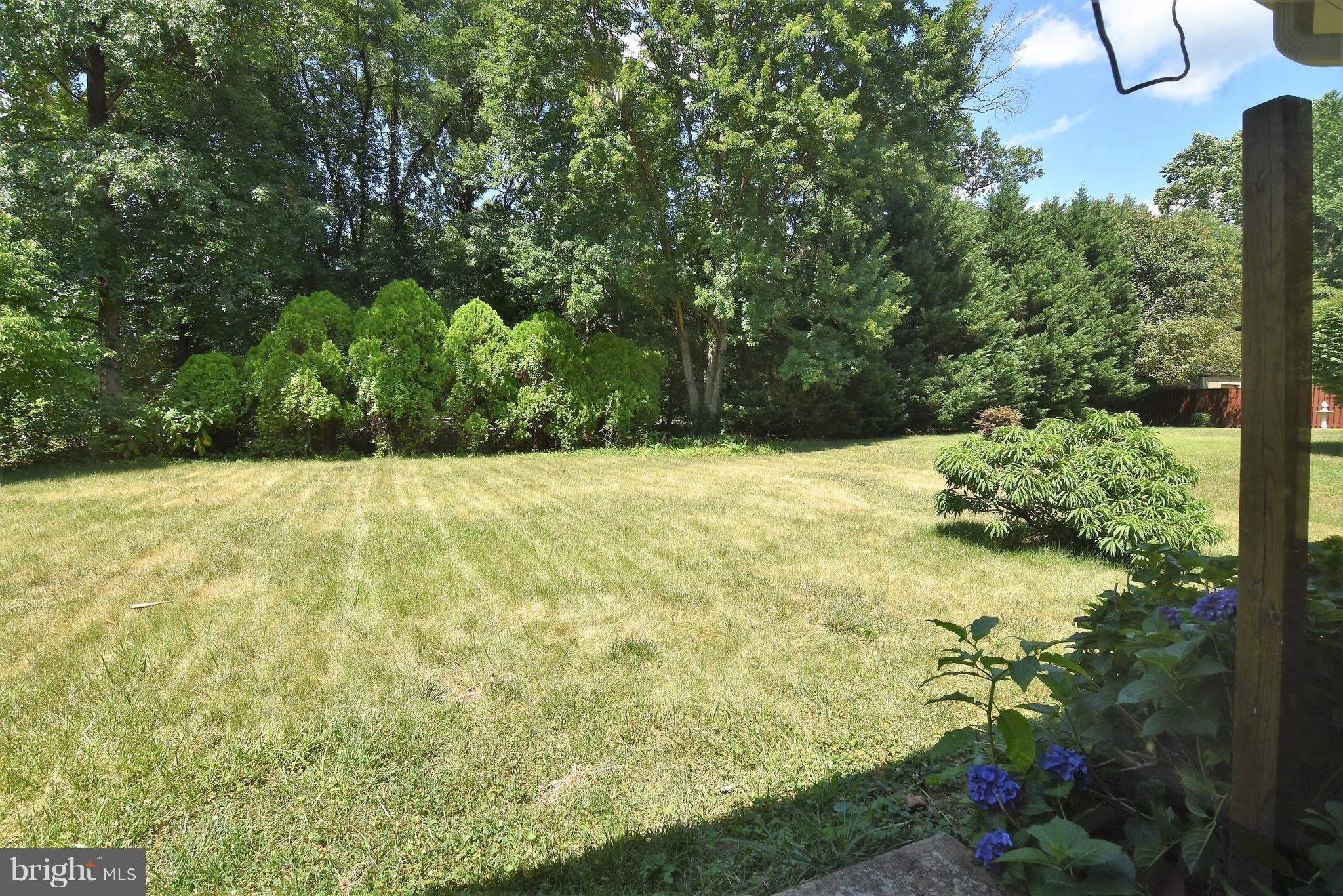 NEWPORT - Residential Lease