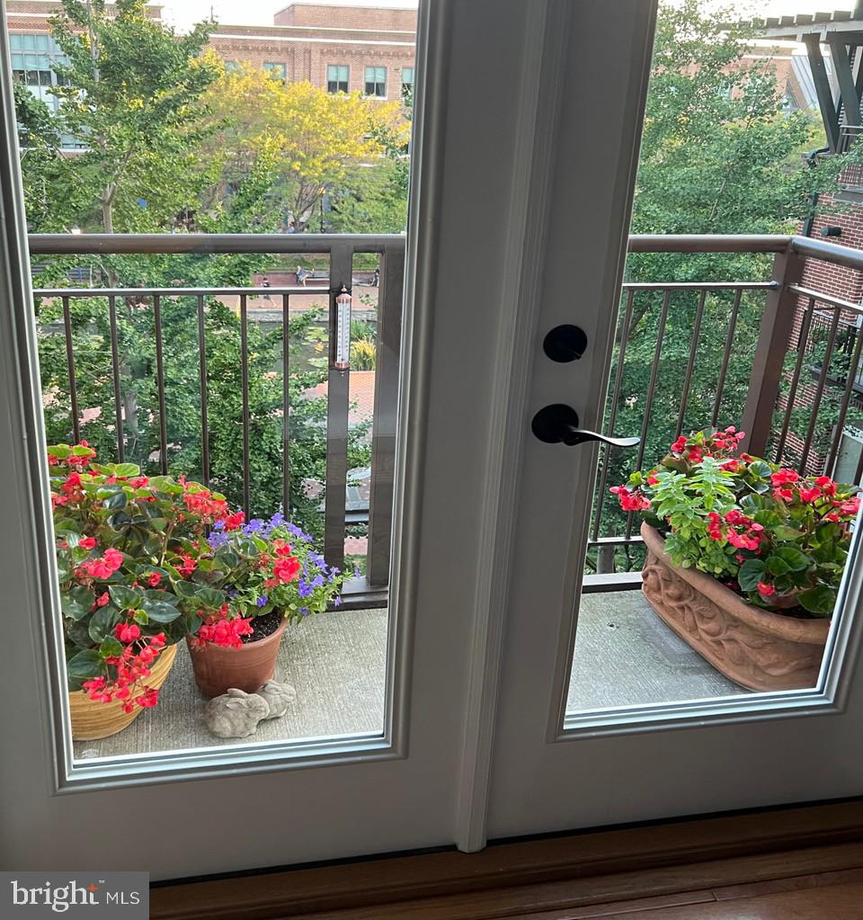 MAXWELL PLACE - Residential