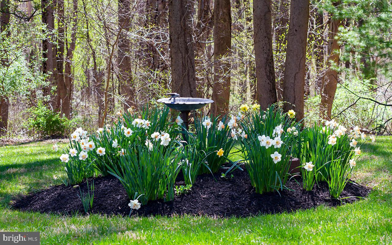 GLYNDON - Residential