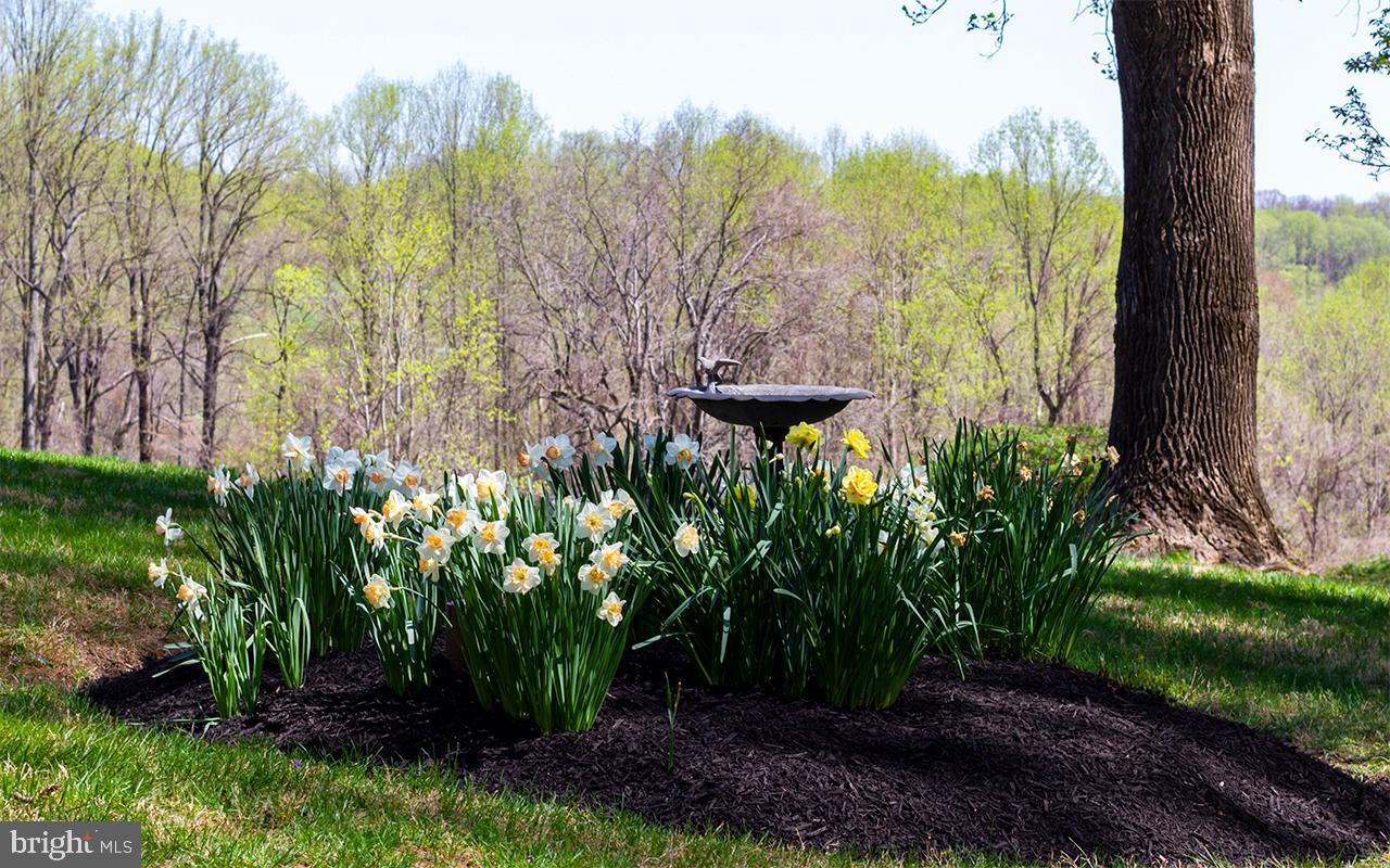 GLYNDON - Residential