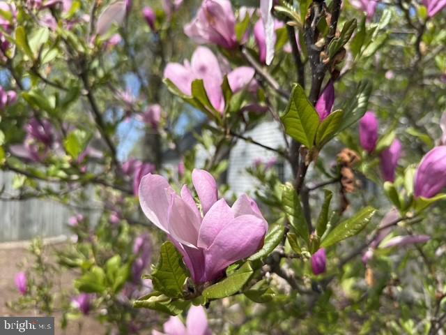 LA TRAPPE HEIGHTS - Residential